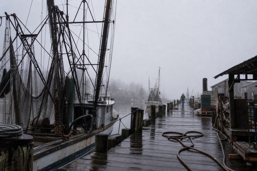 Docked vessels and working piers along the Cooper River at the Port of Charleston, no text, no logos, no people