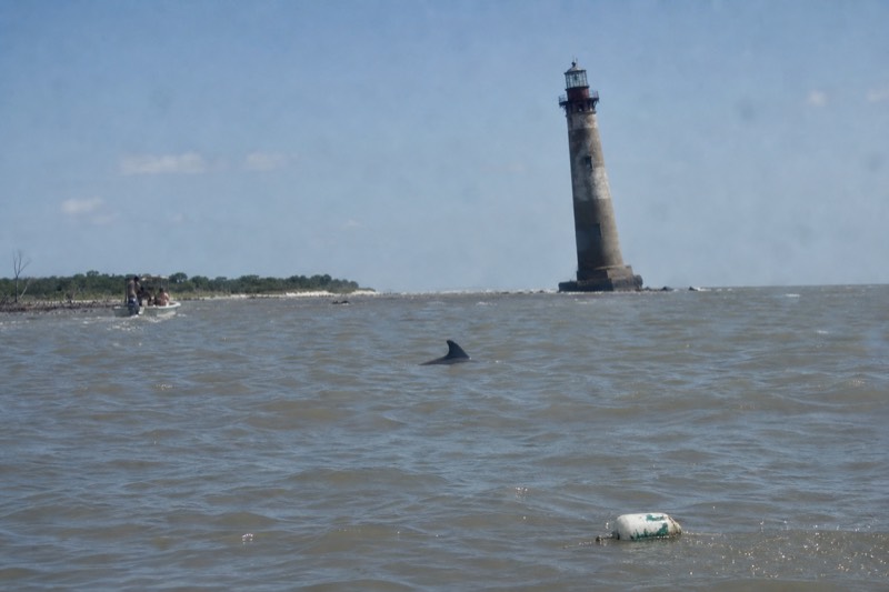 Dolphin fin breaking the surface near the Folly Beach lighthouse on a Charleston dolphin viewing boat excursion